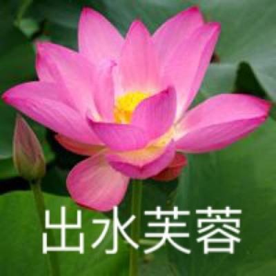 全民钓鱼红包版下载